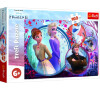 TREFL Puzzle Ledov krlovstv II/Frozen II 160 dlk 41x27,5cm v krabici 29x19x4cm