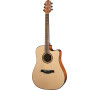 HD-250CE/N WESTERN GUITAR CRAFTER