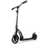 Elektrokoloběžka SpokeyMOBIUS černá, do 100 kg