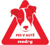 Samolepka pes v autě Reedog