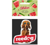 Reedog Air Fresh Vůně do auta Meloun