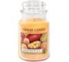 Yankee Candle Mango Peach Salsa vonná svíčka 623 g