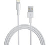Apple Lightning to USB Cable (1m)