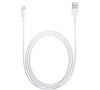 Apple Apple Lightning to USB Cable 2m