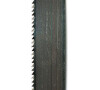 Scheppach Pilový pás 12/0,65/2360, 10 Z/Z pro Basato/Basa 3