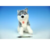 Pes Husky 24cm stojící 0+