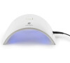 RIO SALON PRO UV & LED LAMP UVLD