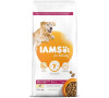 Granule pro psy Iams Senior Large Chicken, 12kg