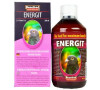 Benefeed Energit holubi 500ml