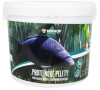 Mikrop Proteinov pelety pro kapry 6mm/5kg Scopex