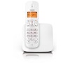 Domácí telefon Philips CD1801R