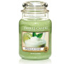 Yankee Candle Vanilla Lime vonná svíčka 623 g