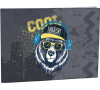 Desky na číslice Cool bear STIL