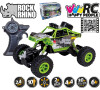 RC Rock Rhino