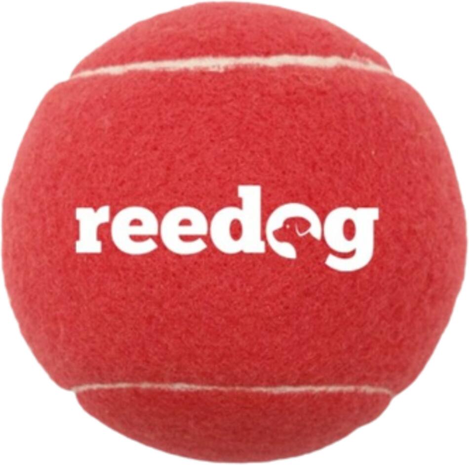 Reedog tenisový míček pro psa - XL