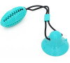 Reedog Pet Molar blue