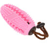 Reedog dental ball