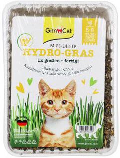 Gimpet GimCat Hydro-Grass kočičí tráva 150g