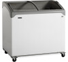 TEFCOLD NIC 300 SCEB