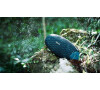 Philips BT6900 EverPlay - blue (4895185628653)