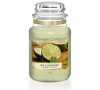 Yankee Candle Lime & Coriander vonná svíčka 623 g