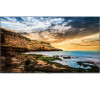 Monitor Samsung QE55T