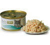 Brit Care Cat konz.kuřecí prsa 80g