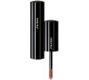 Shiseido Lacquer Rouge 6ml - BE306 Carmel
