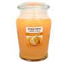 Yankee Candle 538g Vanilla Frosting