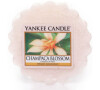 Yankee Candle vonný vosk Champaca Blossom