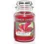 Yankee Candle Pink hibicus 623g