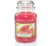 Yankee Candle Pink dragon fruit 623g