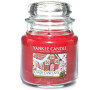 Yankee Candle Candy cane lane 411g