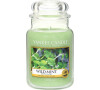 Yankee Candle Wild mint 623g