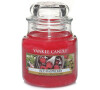 Yankee Candle Red Raspberry vonná svíčka 104 g