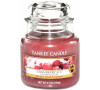 Yankee Candle Cranberry ice 104 g