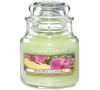 Yankee Candle Pineapple cilantro 104g