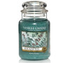 Yankee Candle Collectors Edition 2018 623g Eucalyptus