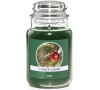 Yankee Candle Collectors Edition 2017 623g Pine