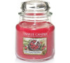 Yankee Candle Red Raspberry vonná svíčka 411 g