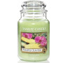 Yankee Candle 623g Pineapple Cilantro