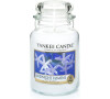 Yankee Candle Classic 623g Midnight Jasmine