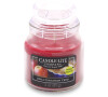 Candle Lite Company Apple Cinnamon Crisp PNK 85g