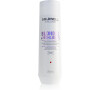 Goldwell Dualsenses Blondes & Highlights Anti-Yellow Shampoo 250 ml