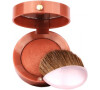 Bourjois Paris Blush 2,5g - 10 Chataigne Dorée