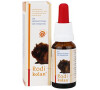 Alvetra & Werfft Rodikolan gtt 15ml