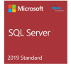 Microsoft SQL Server Standard 2019 Sngl GOVT OLP NL (pro státní správu) (228-11487)