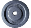 Kotouč LIFEFIT TS 1,0kg, kovový, pro 30mm tyč