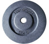 Kotouč LIFEFIT® TS 5kg, kovový, pro 30mm tyč