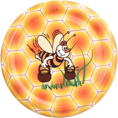 Zavařovací víčko 66 10 ks Orion